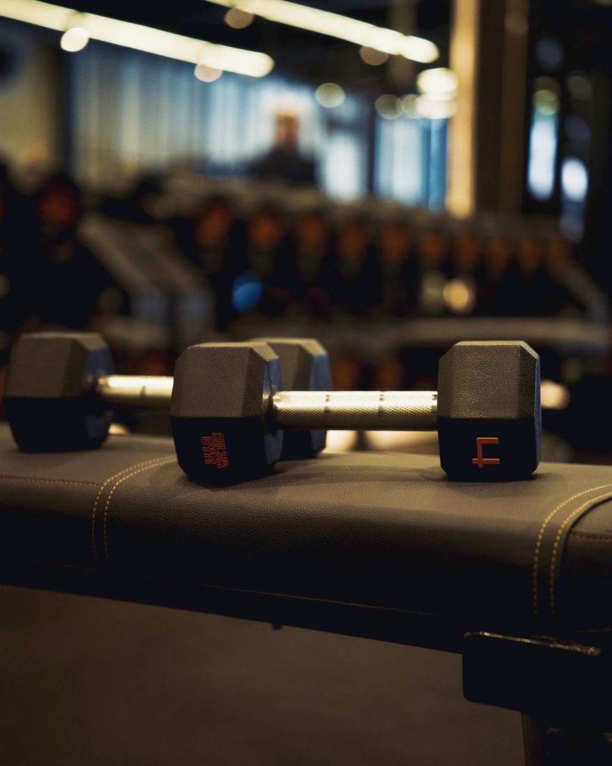 Halteres organizados no rack da Silva Gym